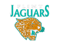 Flint Jaguars Community Partner